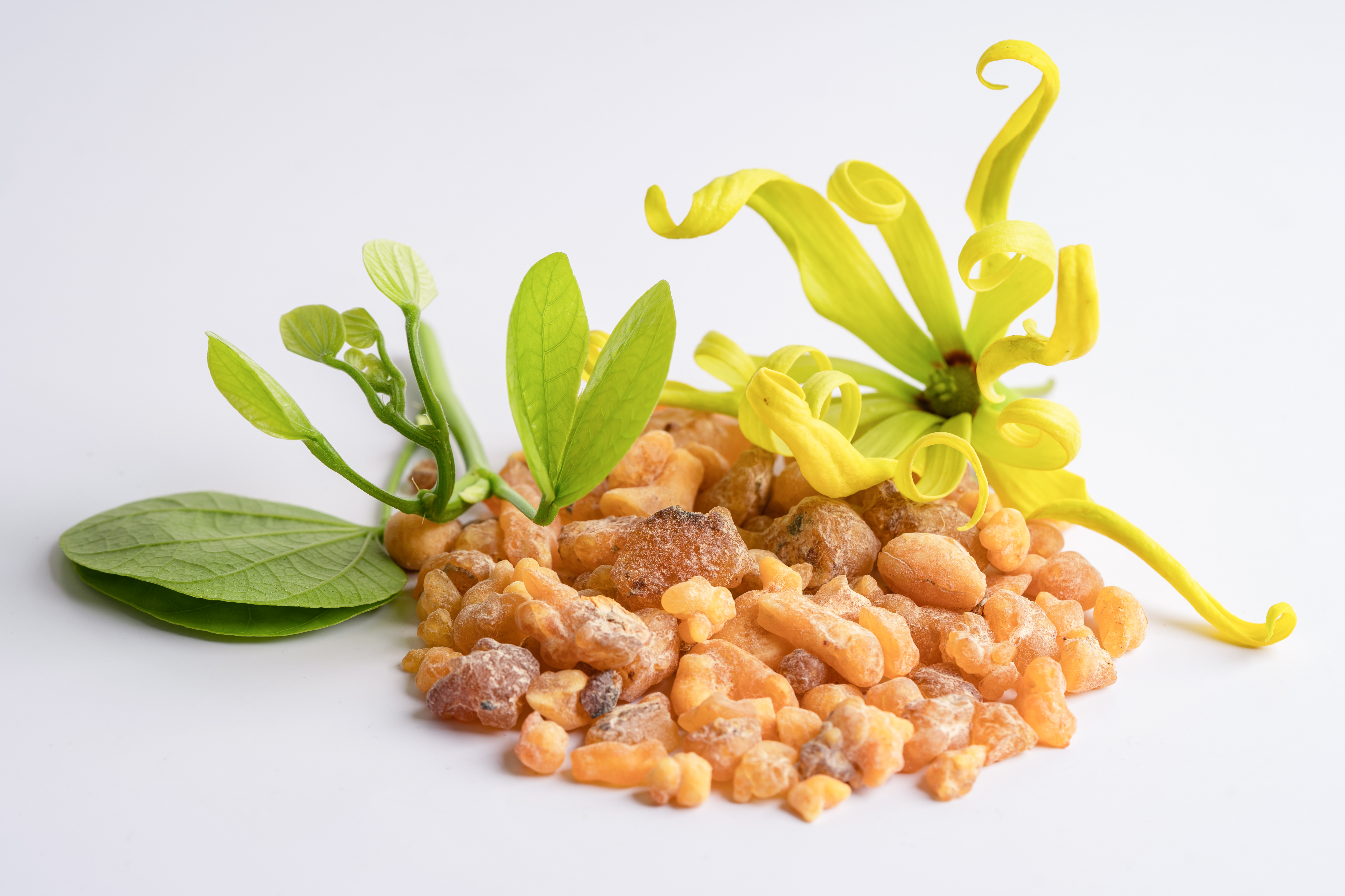 Anti-inflammatory and Pain Relief